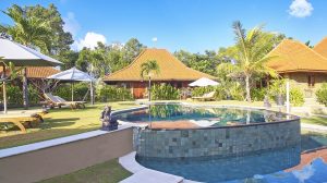 Three Monkeys Villas Uluwatu Pool side 2