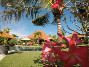 Three-Monkeys-Villas-Pool-View